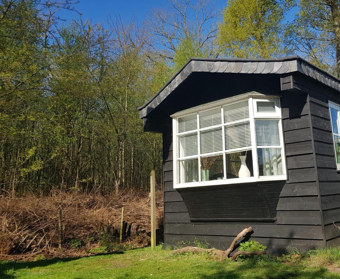 Chalet 2 Pers Met Hottub - Aan De Bosrand - Ijsselmeer - Gaasterland - Bos 리스 외부 사진